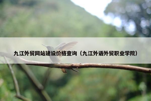 九江外贸网站建设价格查询（九江外语外贸职业学院）