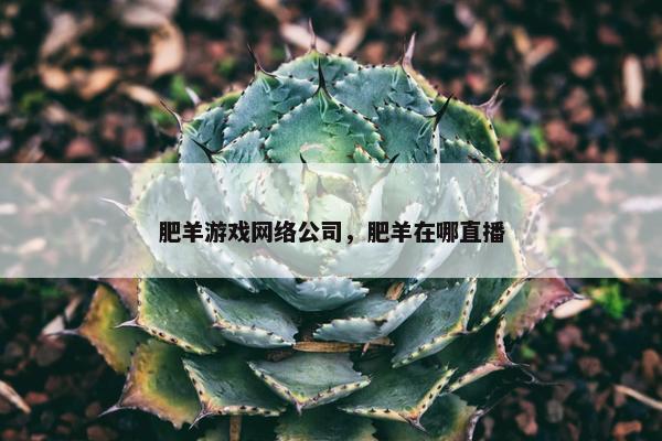 肥羊游戏网络公司，肥羊在哪直播