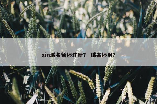 xin域名暂停注册？ 域名停用？