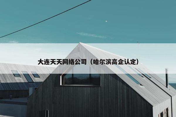 大连天天网络公司（哈尔滨高企认定）