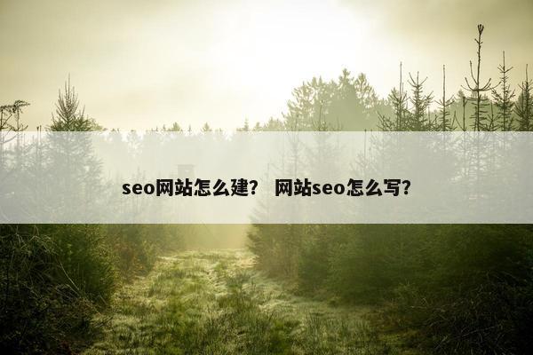 seo网站怎么建？ 网站seo怎么写？