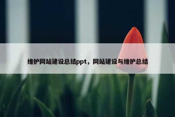 维护网站建设总结ppt，网站建设与维护总结
