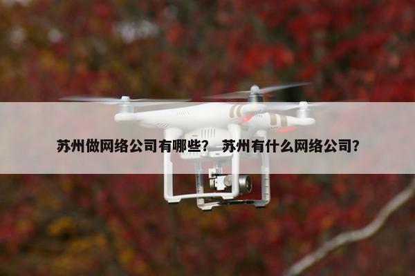 苏州做网络公司有哪些？ 苏州有什么网络公司？