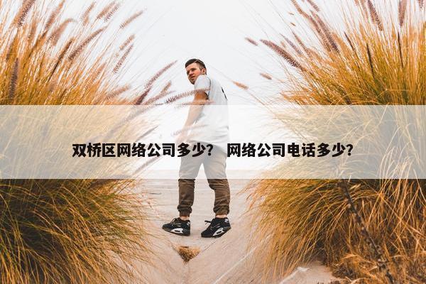 双桥区网络公司多少？ 网络公司电话多少？
