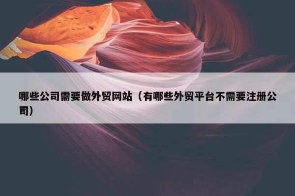 哪些公司需要做外贸网站（有哪些外贸平台不需要注册公司）