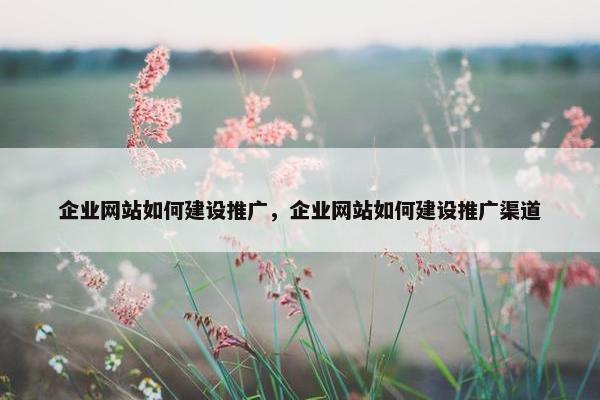 企业网站如何建设推广，企业网站如何建设推广渠道