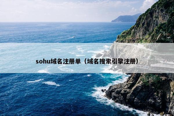 sohu域名注册单（域名搜索引擎注册）