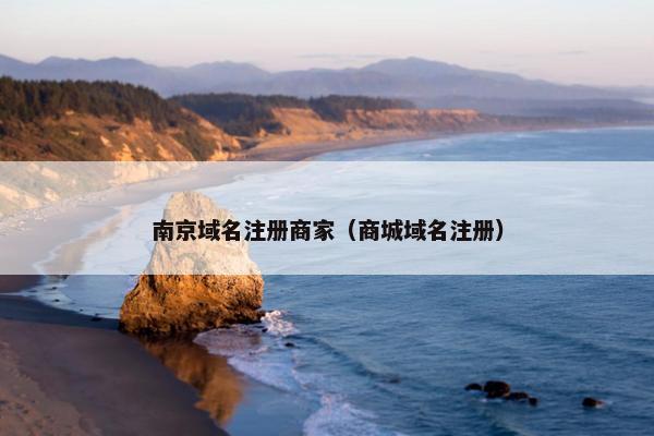 南京域名注册商家（商城域名注册）