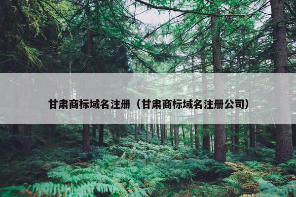 甘肃商标域名注册（甘肃商标域名注册公司）
