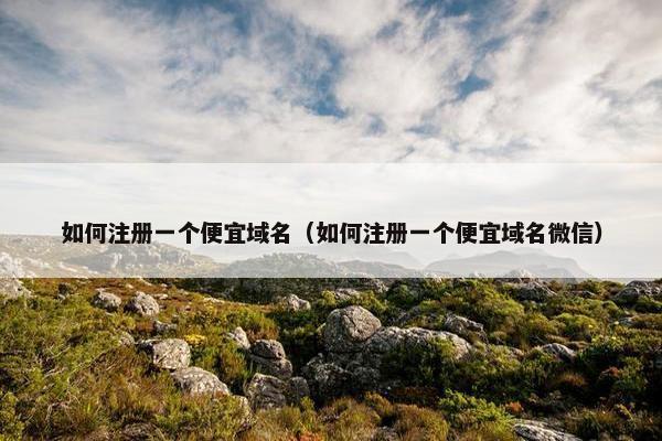 如何注册一个便宜域名（如何注册一个便宜域名微信）