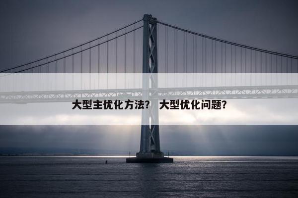 大型主优化方法？ 大型优化问题？