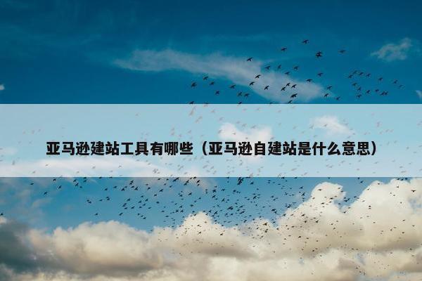 亚马逊建站工具有哪些（亚马逊自建站是什么意思）