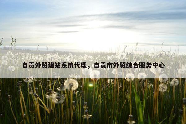 自贡外贸建站系统代理，自贡市外贸综合服务中心