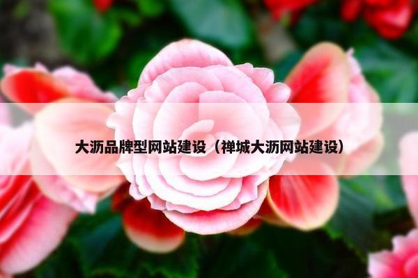 大沥品牌型网站建设（禅城大沥网站建设）
