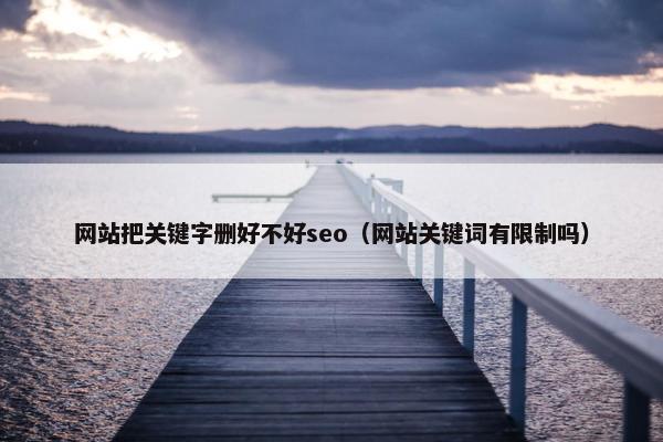 网站把关键字删好不好seo（网站关键词有限制吗）