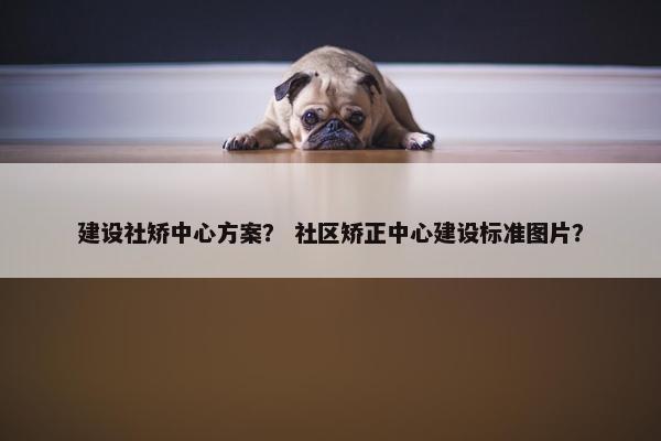 建设社矫中心方案？ 社区矫正中心建设标准图片？