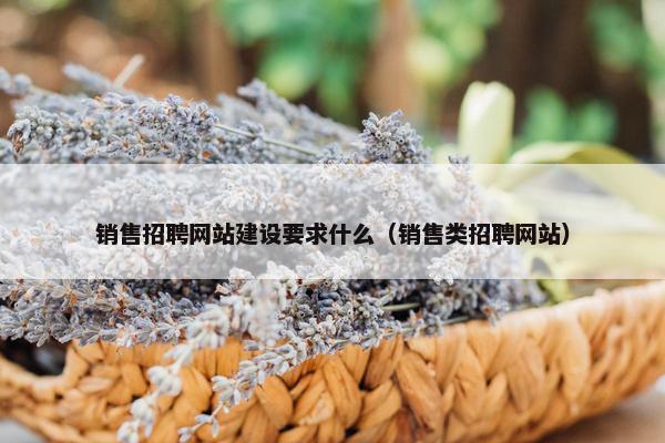 销售招聘网站建设要求什么（销售类招聘网站）