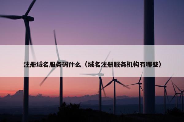 注册域名服务码什么（域名注册服务机构有哪些）