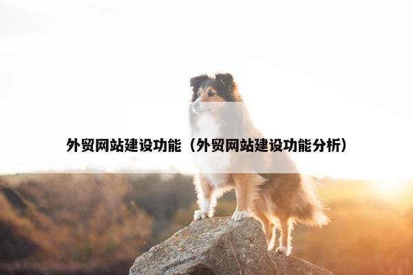 外贸网站建设功能（外贸网站建设功能分析）