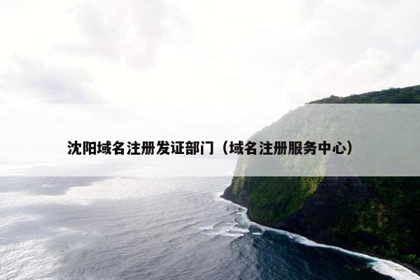 沈阳域名注册发证部门（域名注册服务中心）