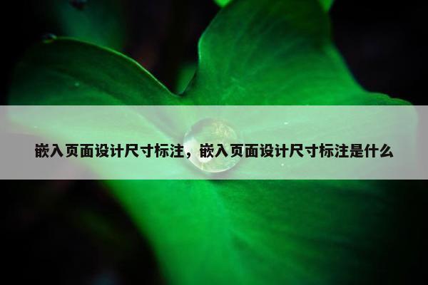 嵌入页面设计尺寸标注，嵌入页面设计尺寸标注是什么