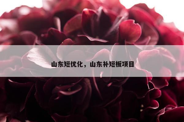 山东短优化，山东补短板项目