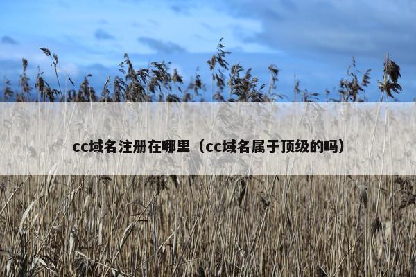 cc域名注册在哪里（cc域名属于顶级的吗）