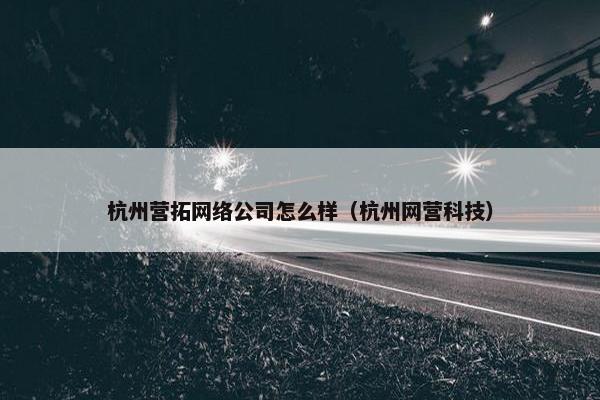 杭州营拓网络公司怎么样（杭州网营科技）