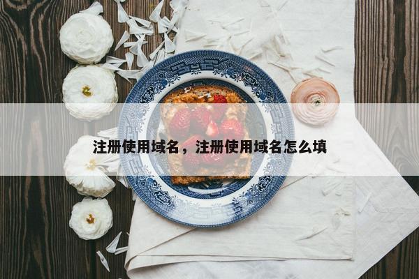 注册使用域名，注册使用域名怎么填
