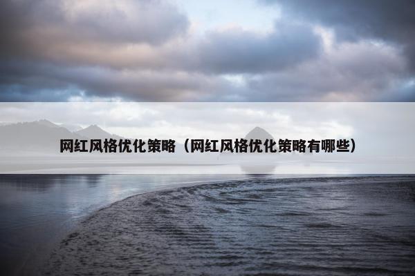 网红风格优化策略（网红风格优化策略有哪些）