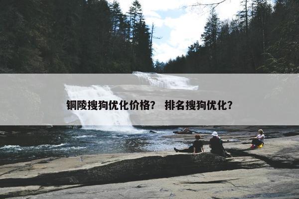 铜陵搜狗优化价格？ 排名搜狗优化？