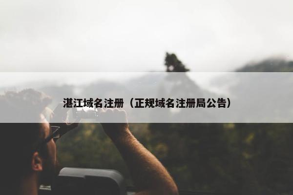 湛江域名注册（正规域名注册局公告）