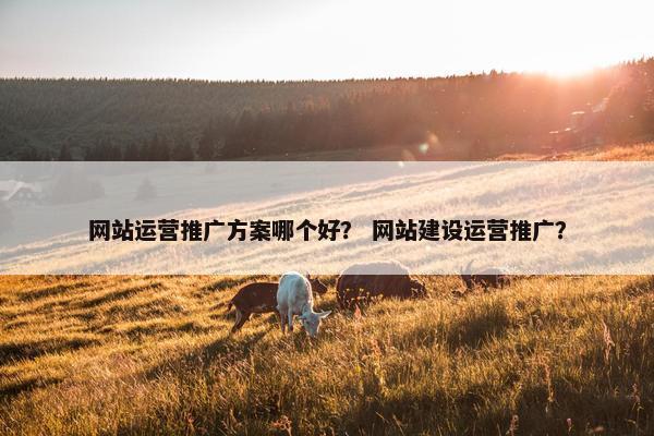 网站运营推广方案哪个好？ 网站建设运营推广？