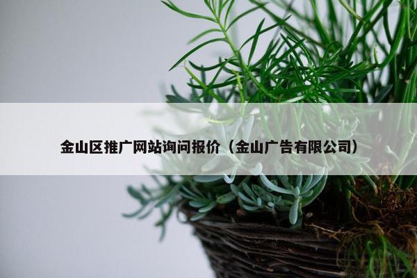 金山区推广网站询问报价（金山广告有限公司）