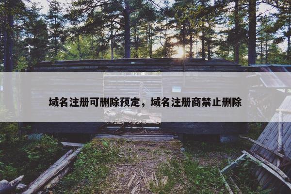 域名注册可删除预定，域名注册商禁止删除