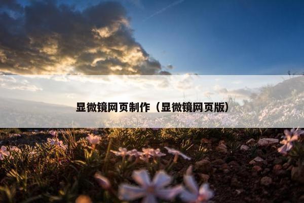 显微镜网页制作（显微镜网页版）
