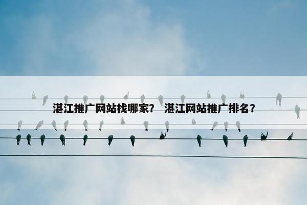 湛江推广网站找哪家？ 湛江网站推广排名？