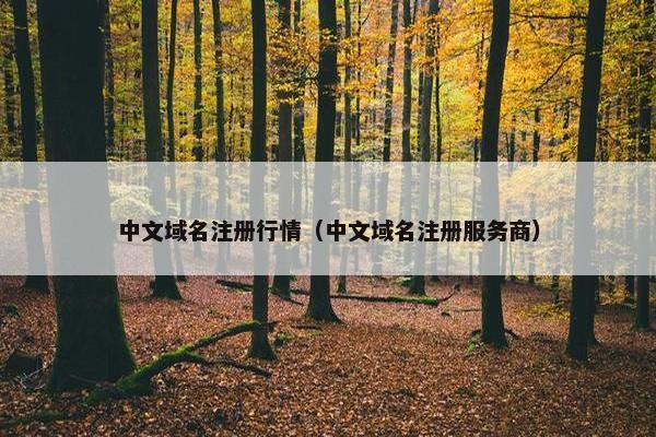 中文域名注册行情（中文域名注册服务商）