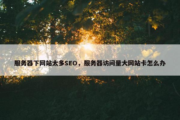 服务器下网站太多SEO，服务器访问量大网站卡怎么办