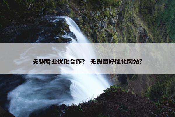 无锡专业优化合作？ 无锡最好优化网站？