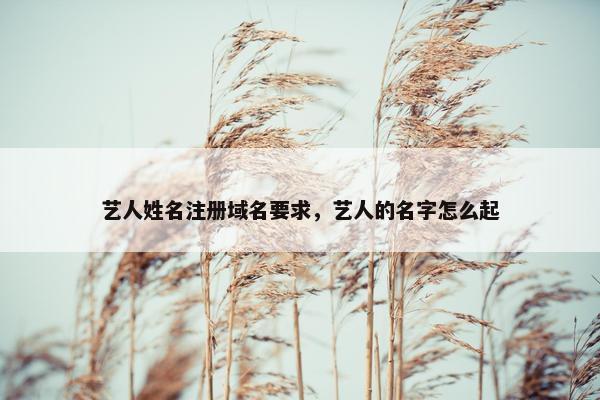 艺人姓名注册域名要求，艺人的名字怎么起