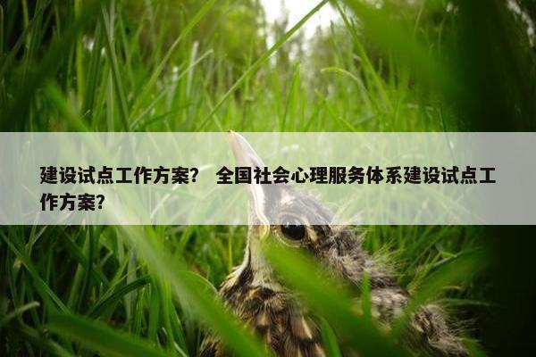 建设试点工作方案？ 全国社会心理服务体系建设试点工作方案？
