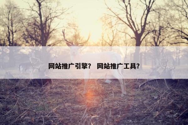 网站推广引擎？ 网站推广工具？
