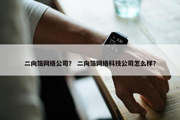 二向箔网络公司？ 二向箔网络科技公司怎么样？