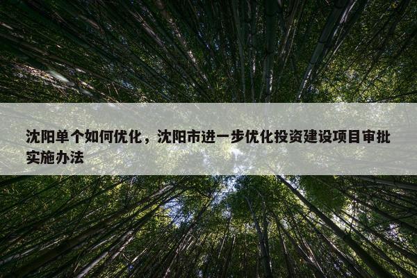 沈阳单个如何优化，沈阳市进一步优化投资建设项目审批实施办法