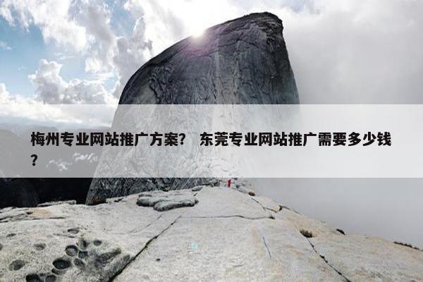 梅州专业网站推广方案？ 东莞专业网站推广需要多少钱？