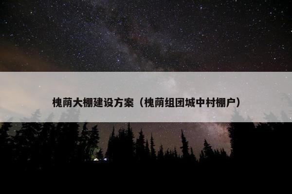 槐荫大棚建设方案（槐荫组团城中村棚户）