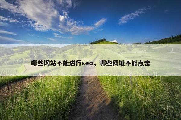 哪些网站不能进行seo，哪些网址不能点击