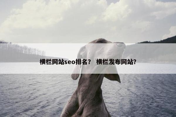 横栏网站seo排名？ 横栏发布网站？