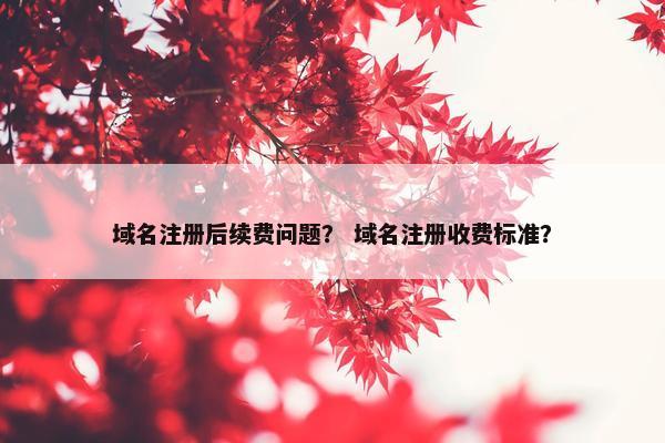 域名注册后续费问题？ 域名注册收费标准？